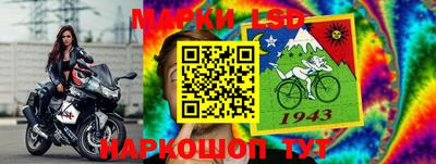 прущие грибы Камышлов