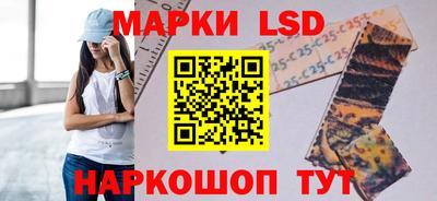 прущие грибы Камышлов