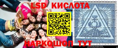 прущие грибы Камышлов