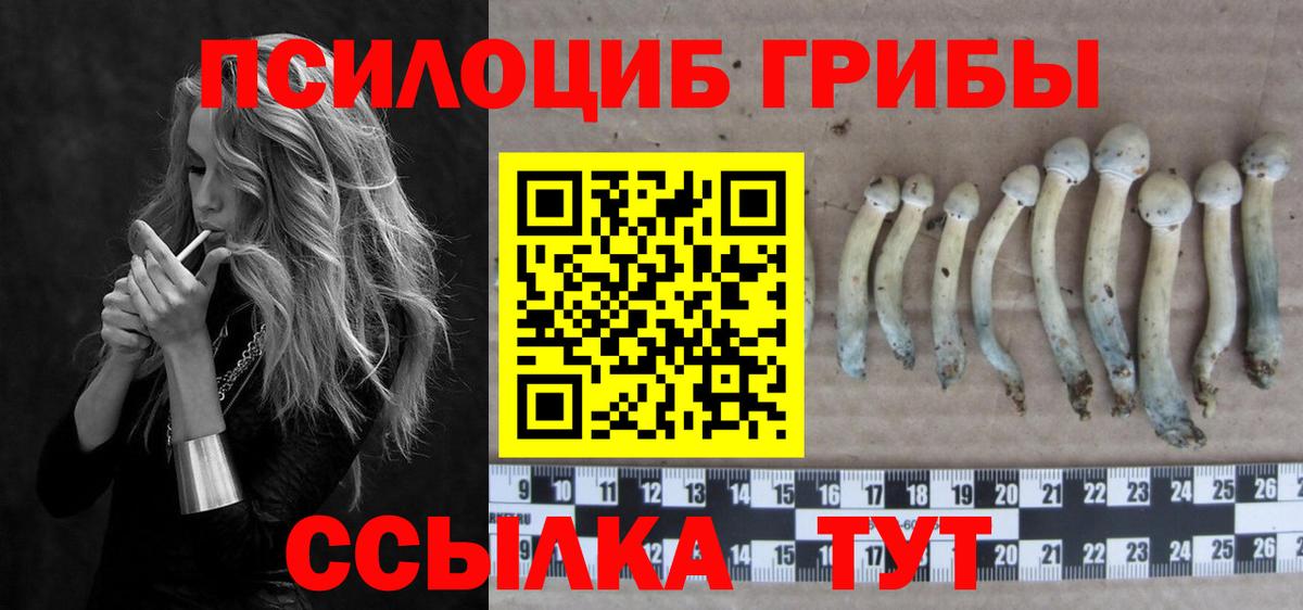 Псилоцибиновые грибы прущие грибы  Галлюциногенные грибы мицелий  купить наркоту  Вход с VPN  Таганрог 